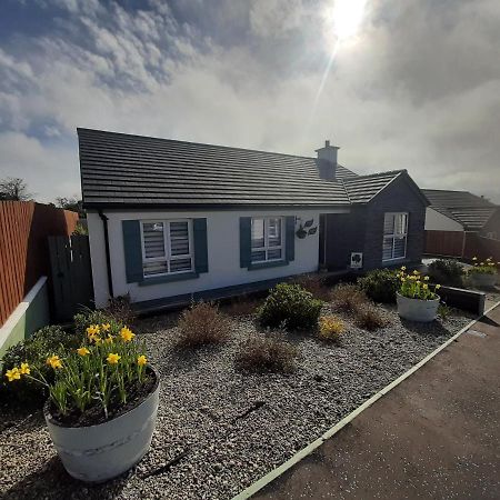 Number 14 Bed and Breakfast Downpatrick Exteriör bild