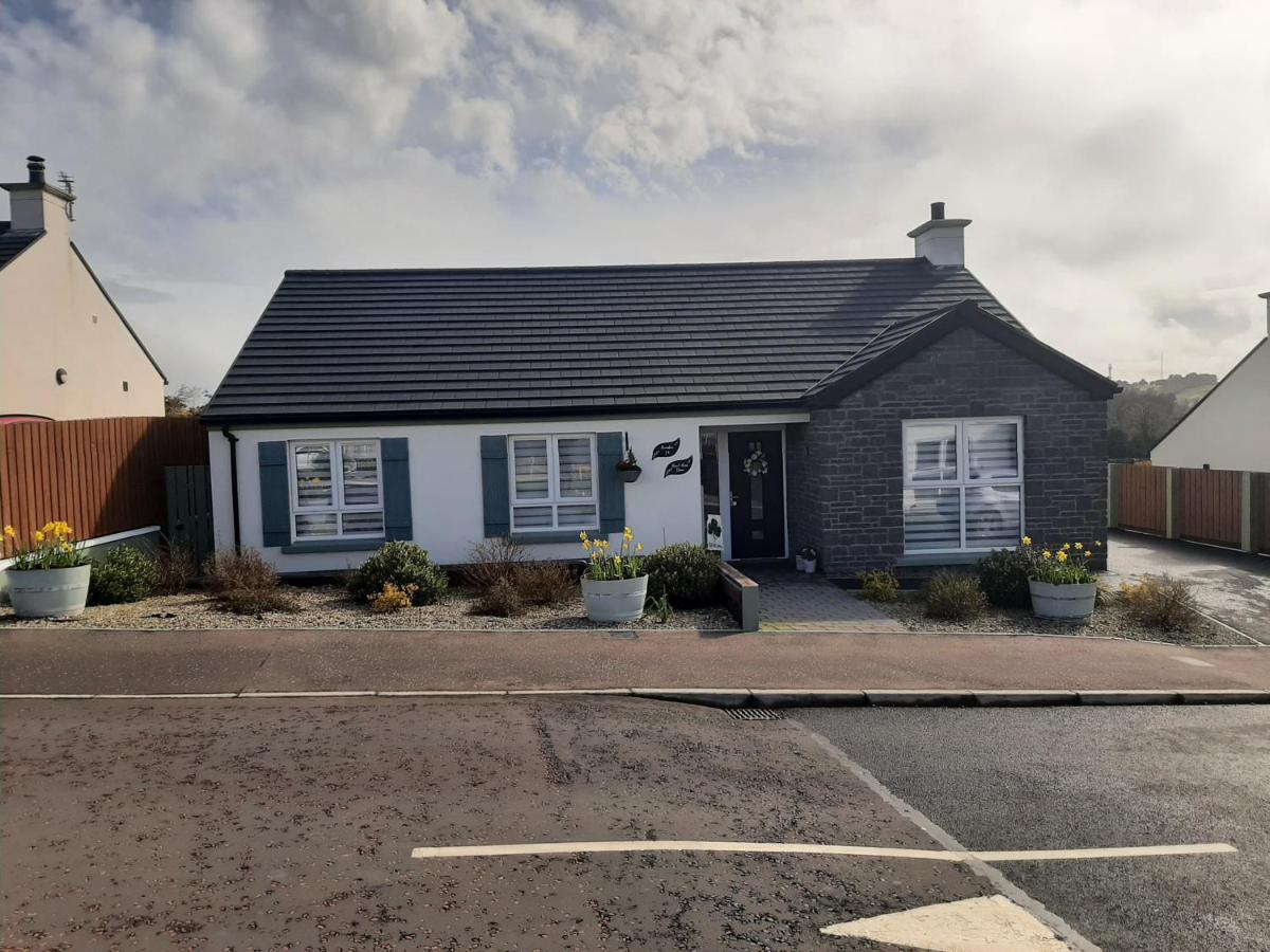 Number 14 Bed and Breakfast Downpatrick Exteriör bild